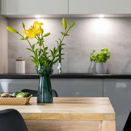 Apartamento Apart4sleepers Pod Orlem Centrum Zakopane