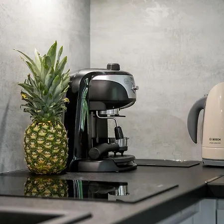 아파트 Apart4sleepers Pod Orlem Centrum 자코파네