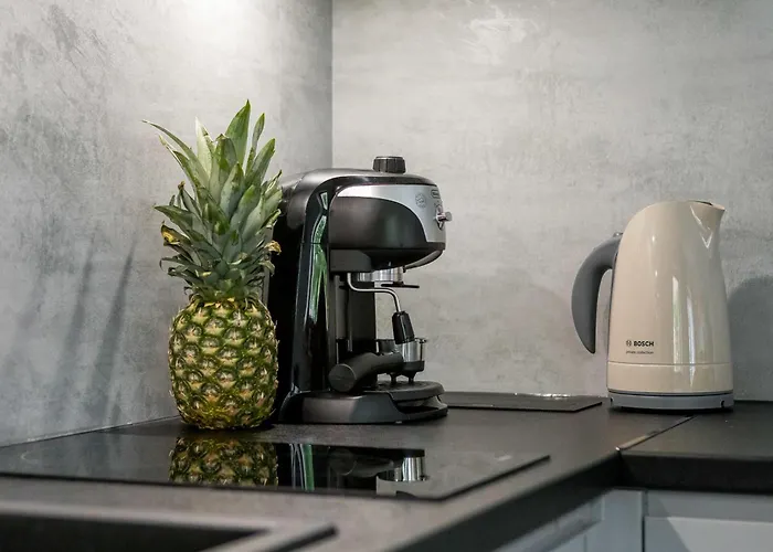 Appartement Apart4sleepers Pod Orłem Centrum Zakopane